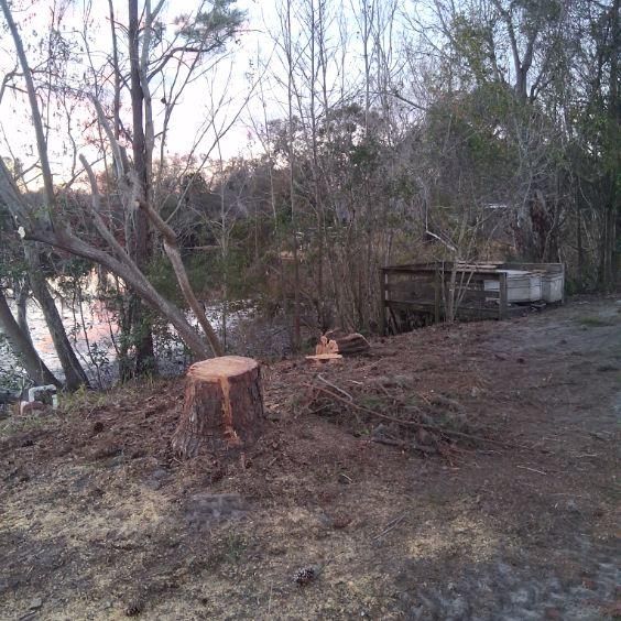 All Photos for Perfect Cut Lawn & Tree Care in Citrus County, FL