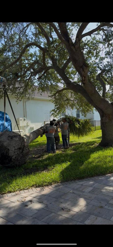 All Photos for Cunningham's Lawn & Landscaping LLC in Daytona Beach, Florida