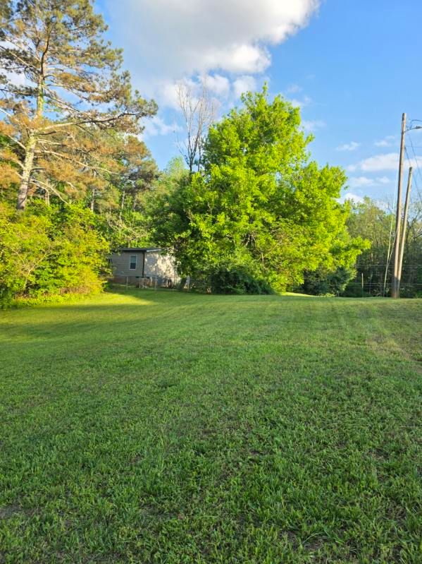 All Photos for ACE Lawn Care of Georgia LLC in Atlanta, GA