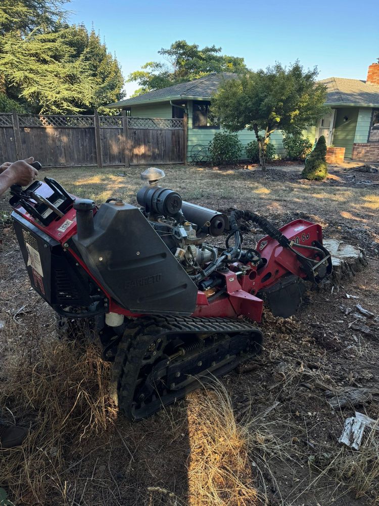 Stump grinding for Willamette Landscaping and Tree Services in Albany, OR