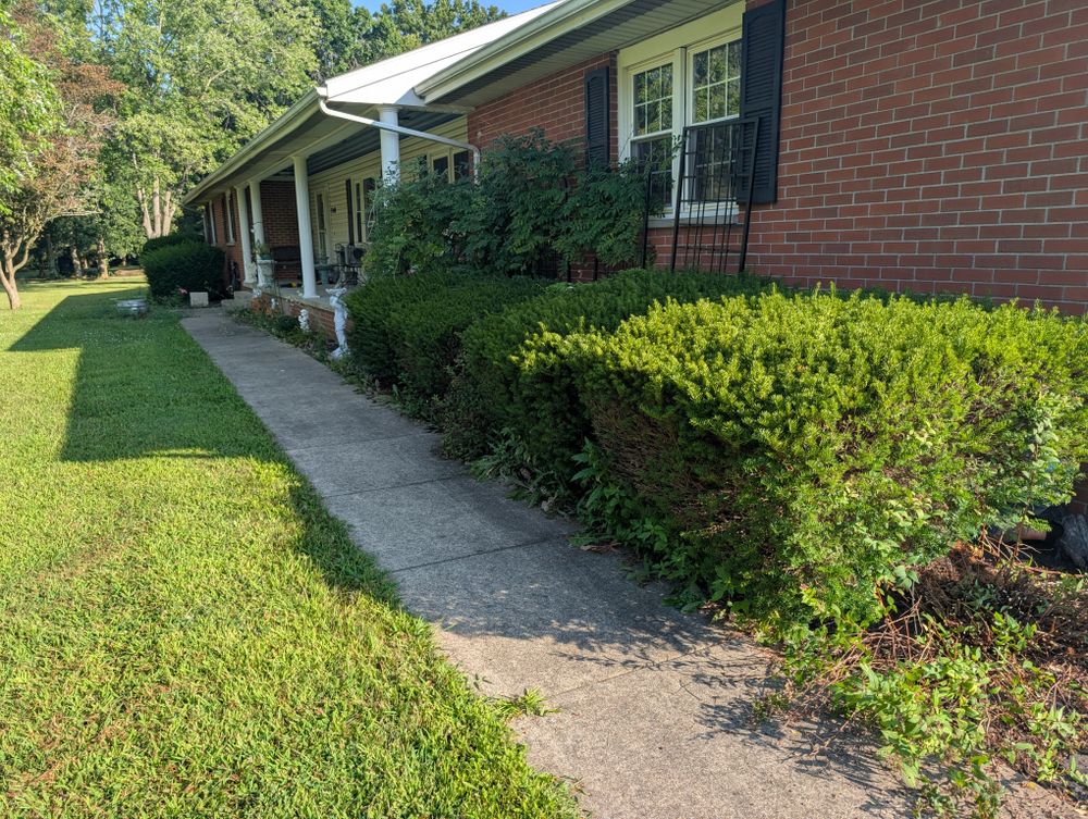 All Photos for Knapps Landscaping and Lawn Care in Marion, OH