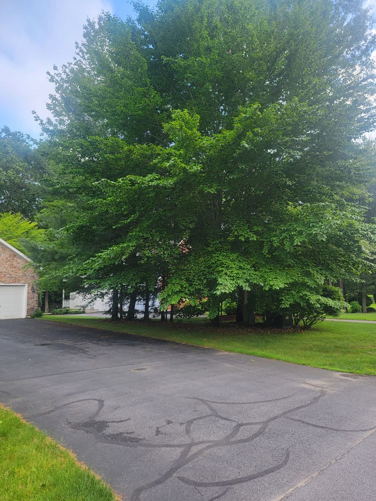 All Photos for Sweet Scapes in Ballston Spa, NY
