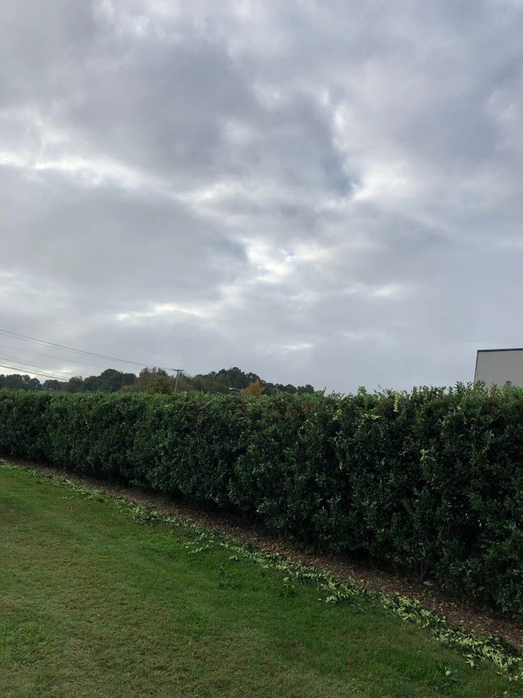 All Photos for Paul's Lawn Care and Pressure Washing in Wilson, NC