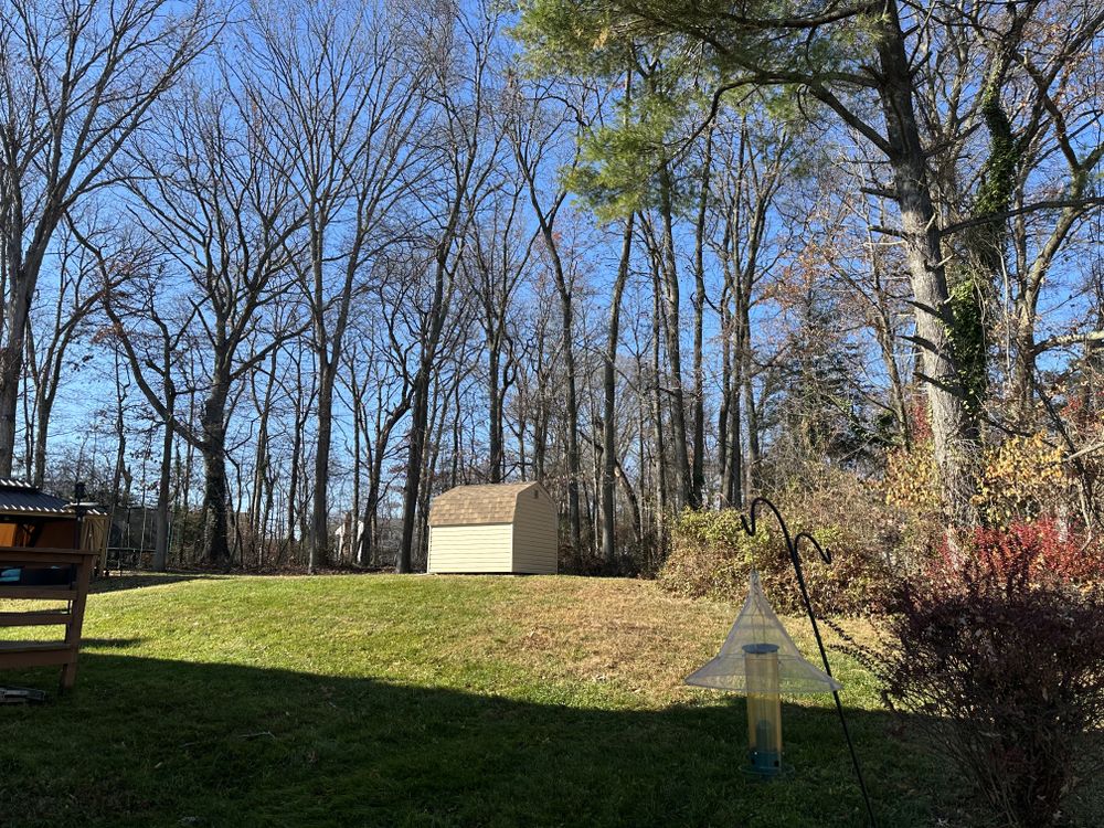 All Photos for A Better Lawn Service LLC in Bel Air, MD