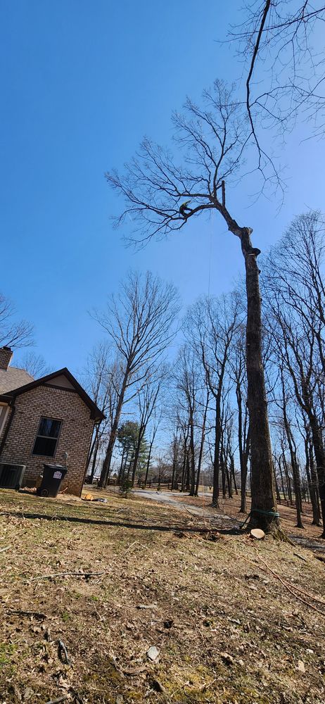 All Photos for Tree Fellers in Sumner County, TN