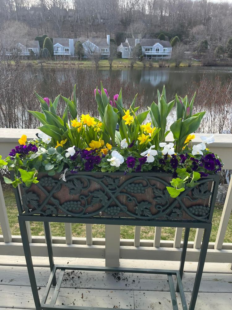 All Photos for Ovidio's Landscaping in Westchester County, NY