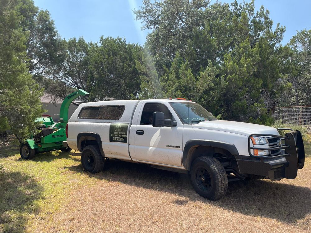 Tree Removal for Z’s Trees LLC in Grey Forest, TX