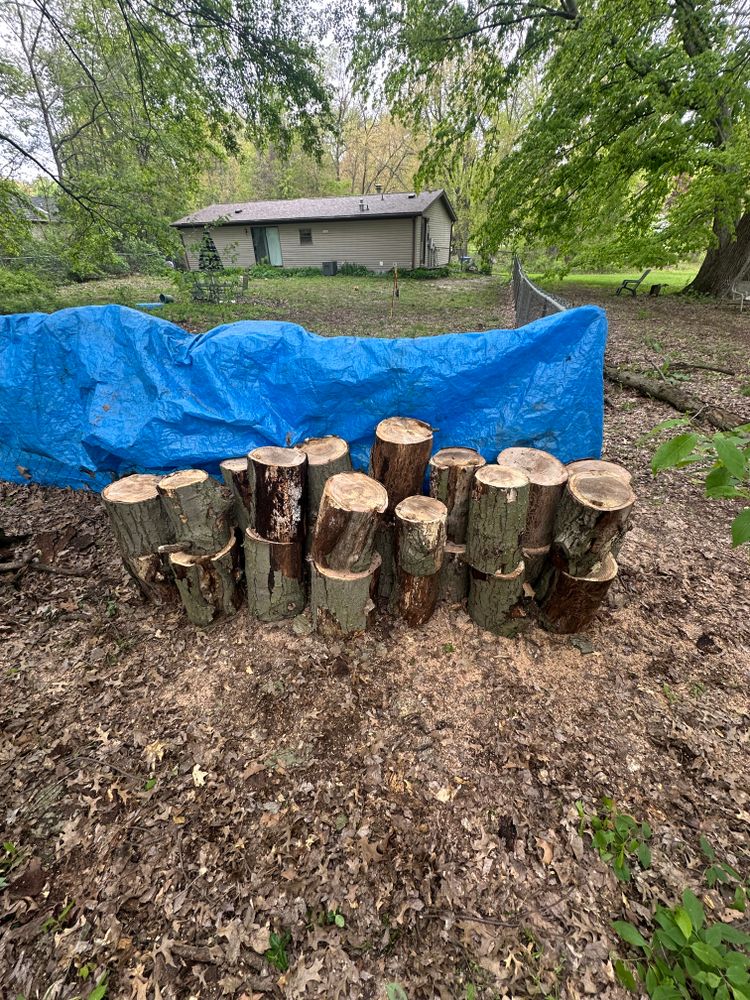 Tree Removal for Blakescape in Elkhart, IN