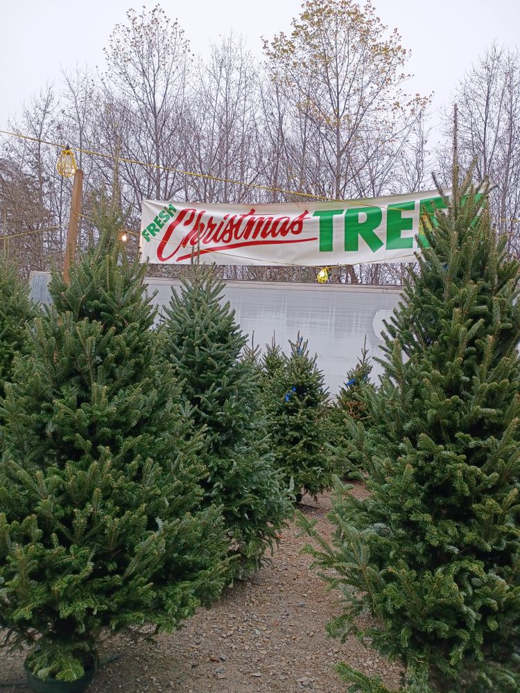 All Photos for BAM Another Pinestraw Lot in Flowery Branch, GA
