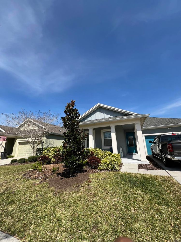 Tree Removal for TREE BOYS in Ruskin, FL