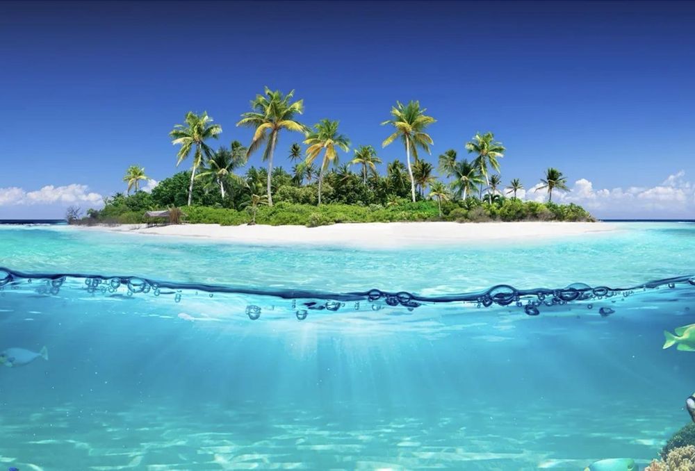 All Photos for Fuller Window Cleaning & Pressure Washing Service in San Diego, CA