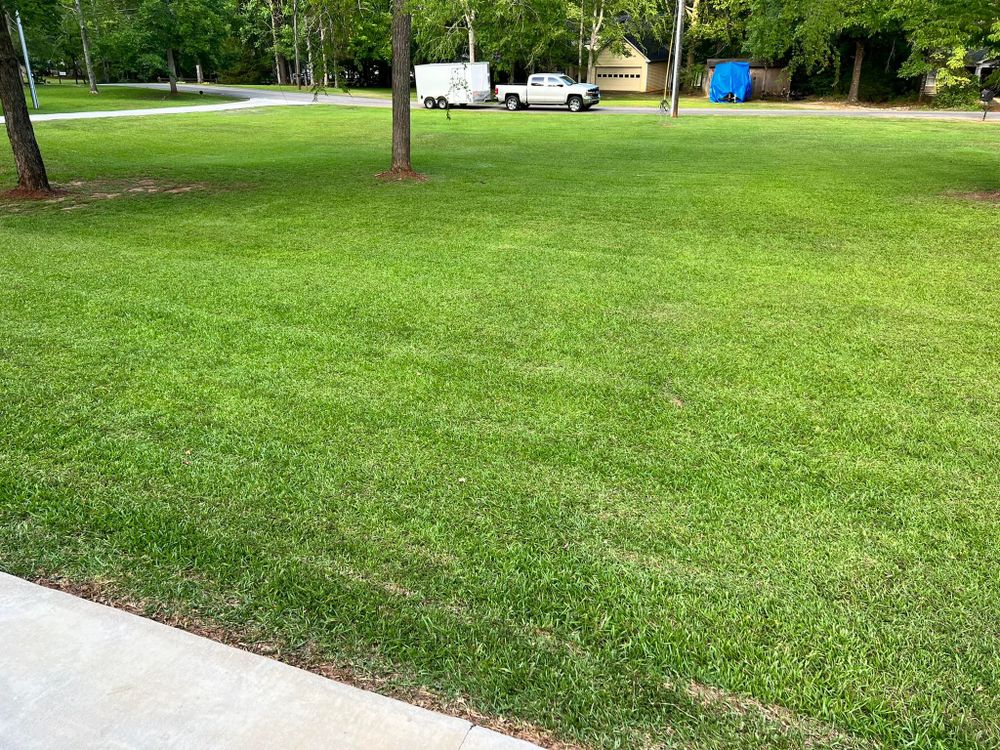 Fall and Spring Clean Up for Battle Lawn Maintenance in Eatonton, GA