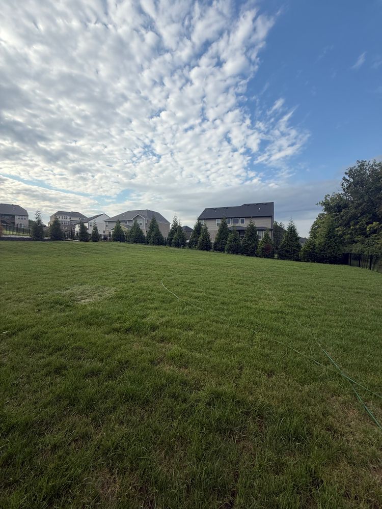 All Photos for Woolf Outdoor Services in Mason, OH