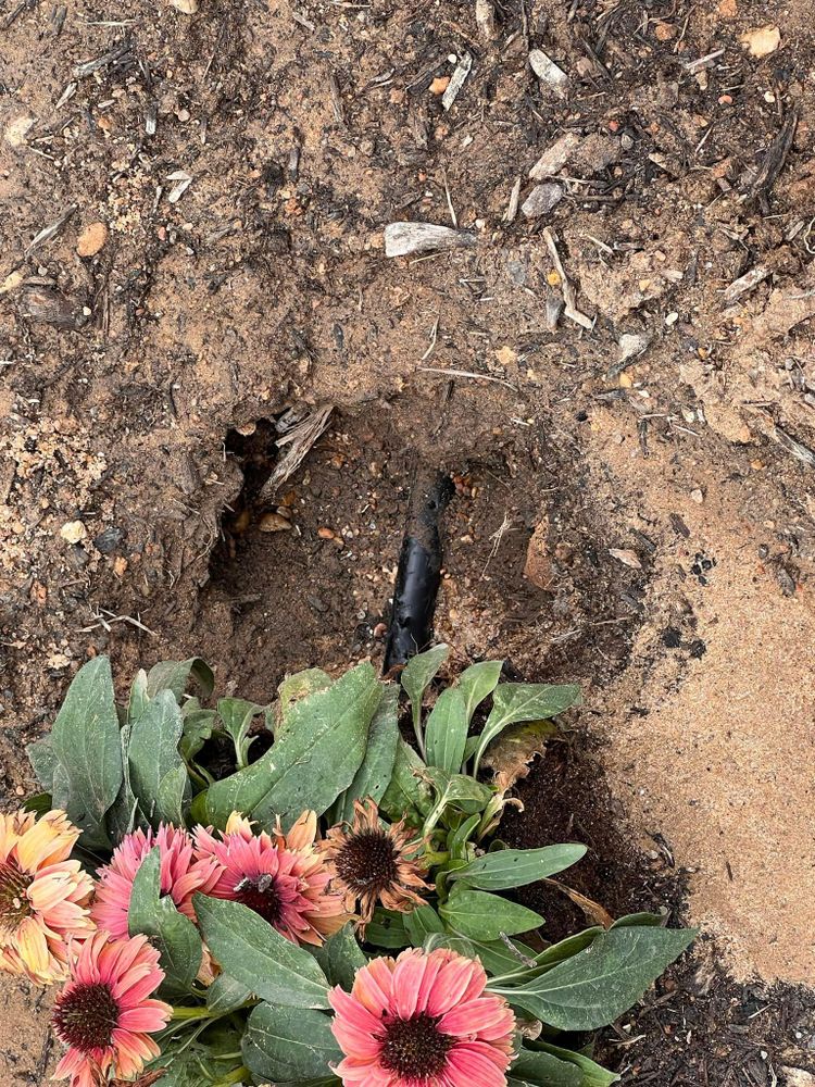 All Photos for Rustic Roots Landscaping in Austin, TX