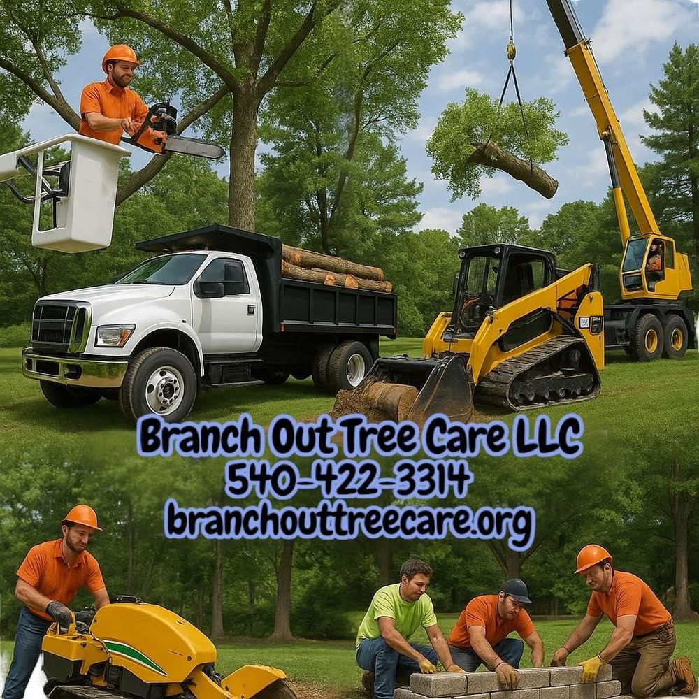 All Photos for Branch Out Tree Care LLC in Fredericksburg, VA