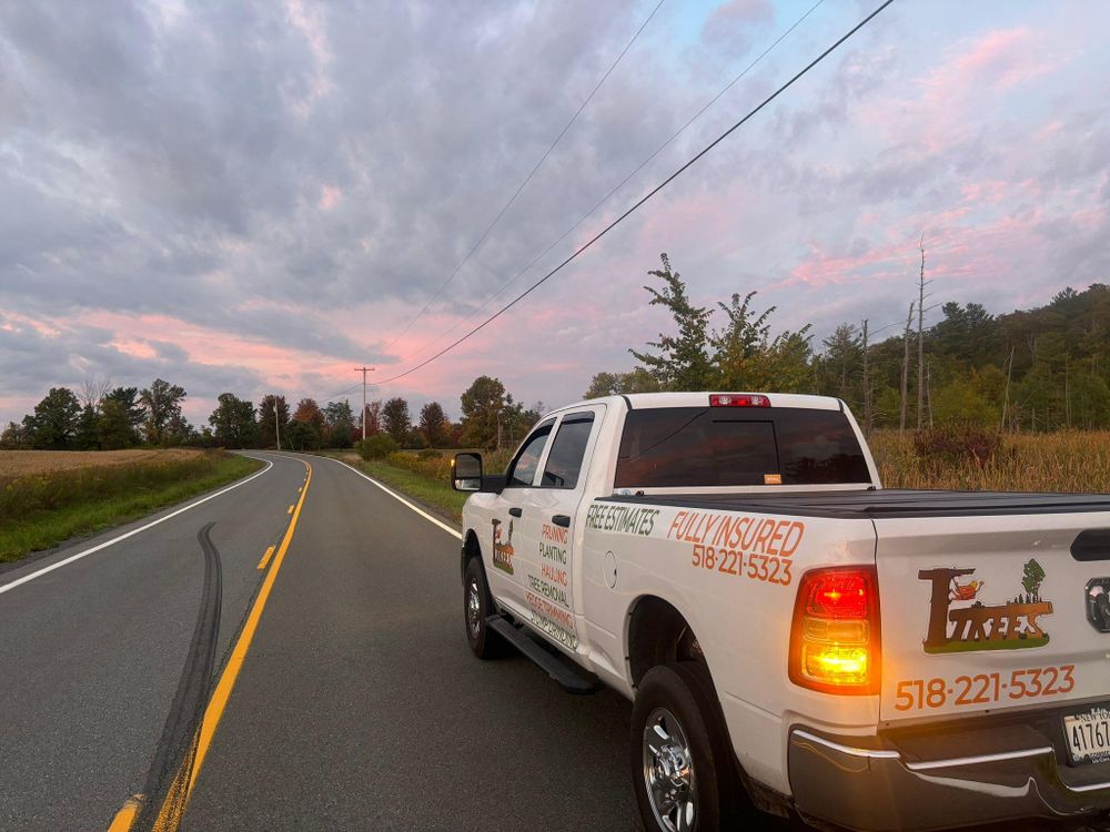 All Photos for T's Trees in Albany, NY