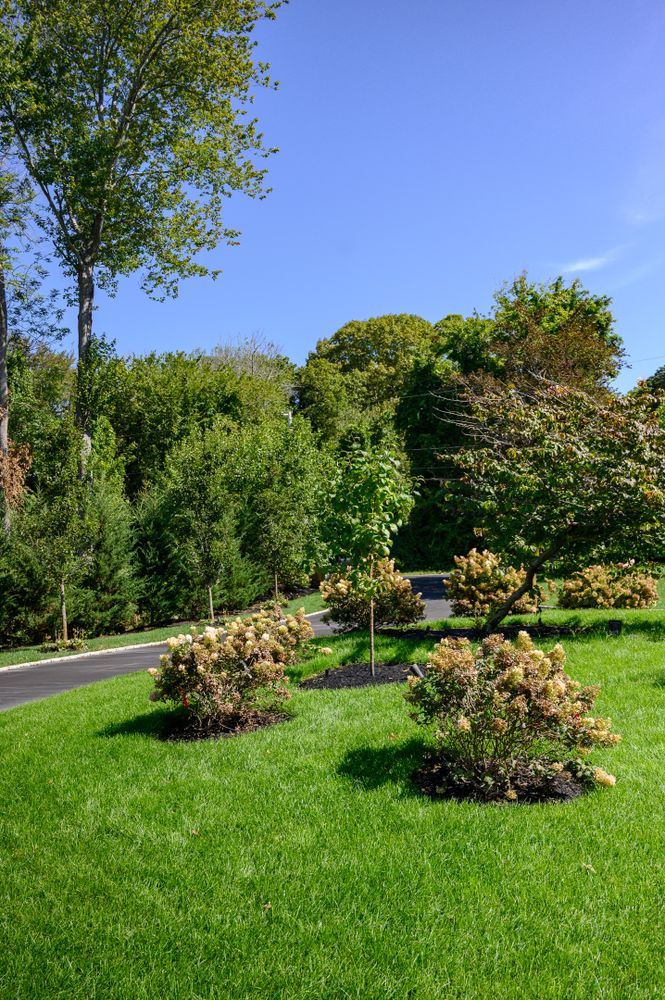 All Photos for Pungitore Landscapes, Irrigation & Fertilizer in Hingham, MA