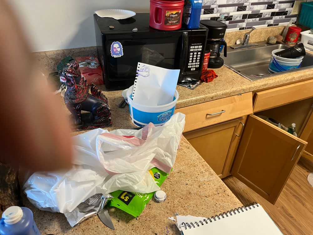 All Photos for Duluth Pro Junk Hauling Removal Service in Duluth, MN