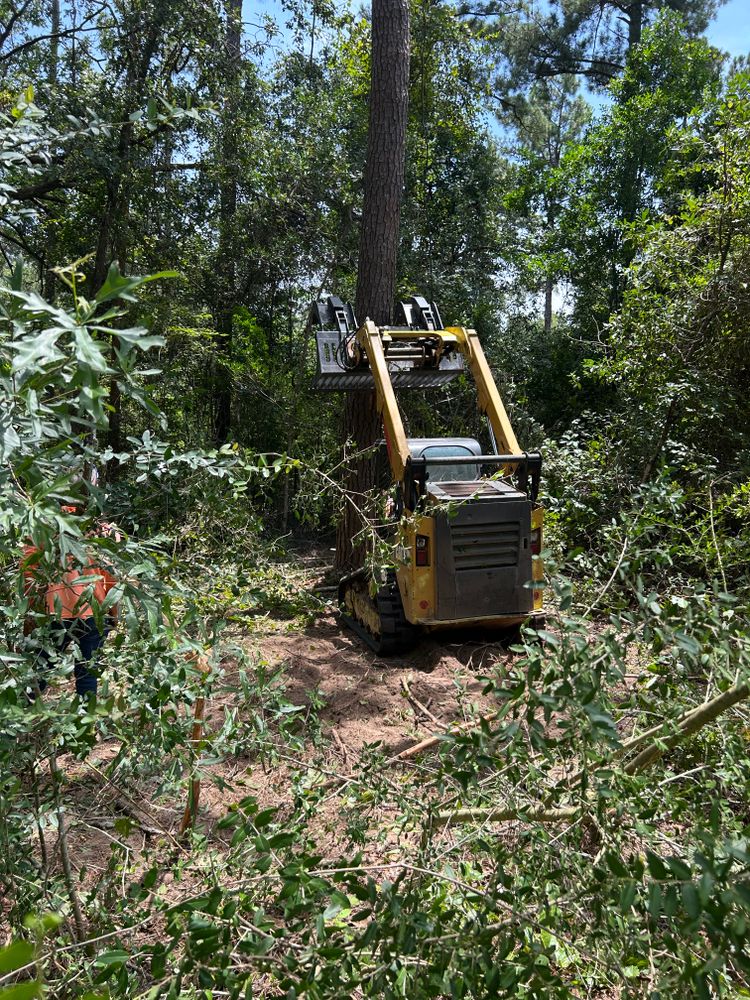 Tree Removal for Broadway & McMullen Construction in Hattiesburg, MS