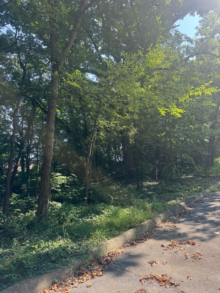 All Photos for Miller Farms Hay & Land Management in Knoxville, TN