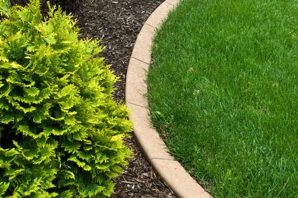 Landscaping for Omarvelous Landscaping in Sarasota, FL