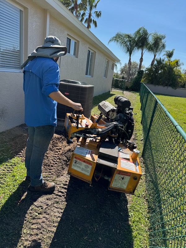 All Photos for Elevation Tree Service in Holiday, FL