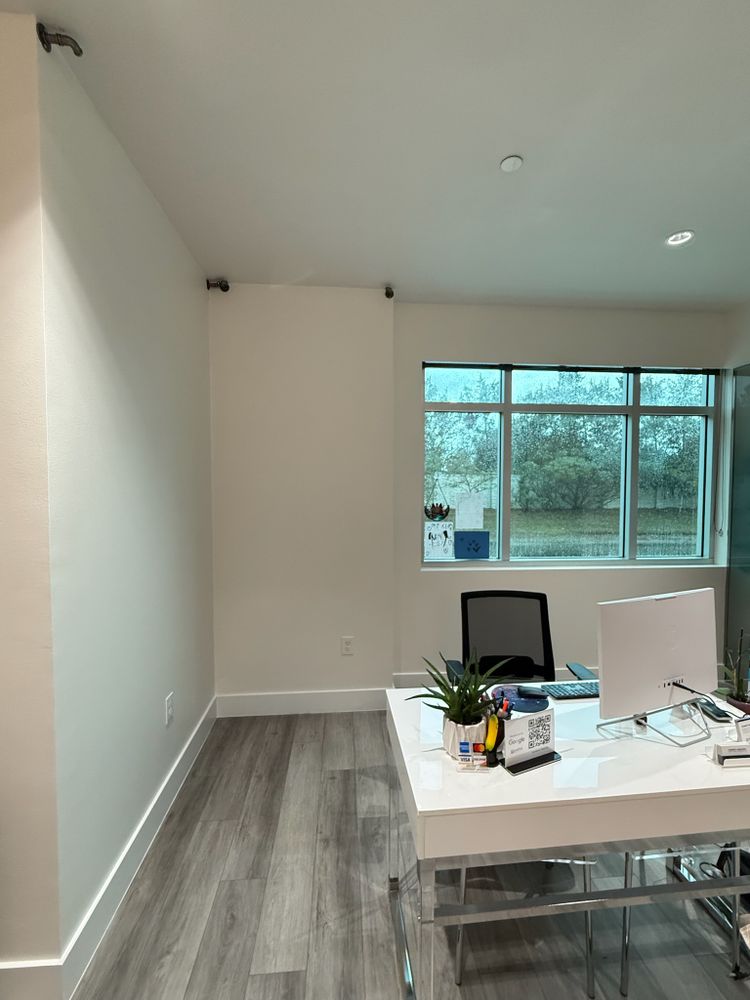 All Photos for Escorpio Painting in Tampa, FL