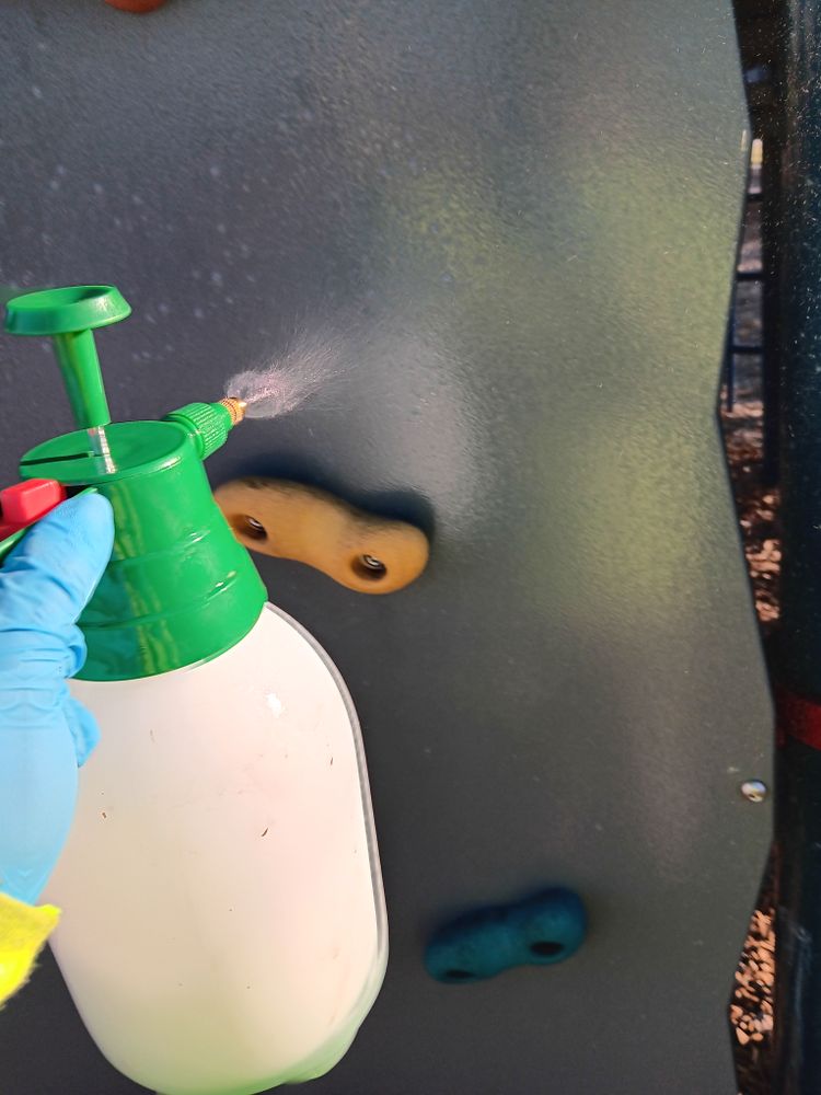 All Photos for Family Landscaping in Phoenix, AZ