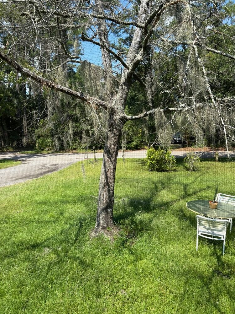 Tree Removal for Hawkins Tree Service & Land Management in Richmond Hill, GA