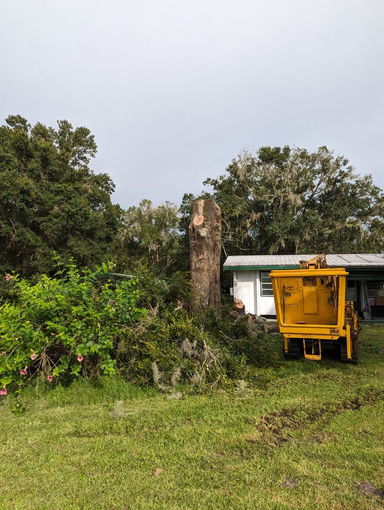 All Photos for Regal Tree Service and Stump Grinding in Wauchula, FL
