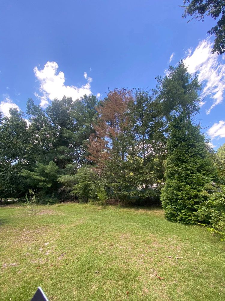 Our Site Preparation service ensures a solid foundation for your project, including clearing land, grading, and removing obstacles to create a level and stable base for construction or landscaping. for Upchurch Property Management in Vass, NC