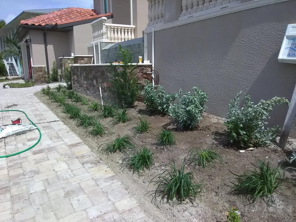 All Photos for Alpha Trees Service and Property Management in Port Charlotte, FL