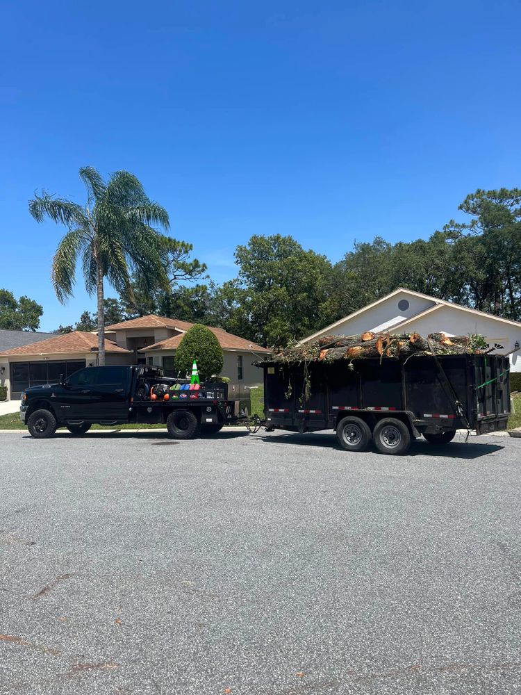 Tree Removal for 163 Property Maintenance in Hernando County,  FL