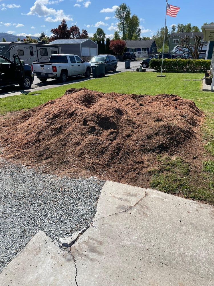 All Photos for Wilderness Stump Grinding in Orting, WA