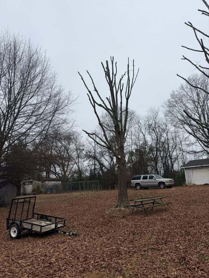 All Photos for Down South Tree Care and Landscaping in Maiden, NC