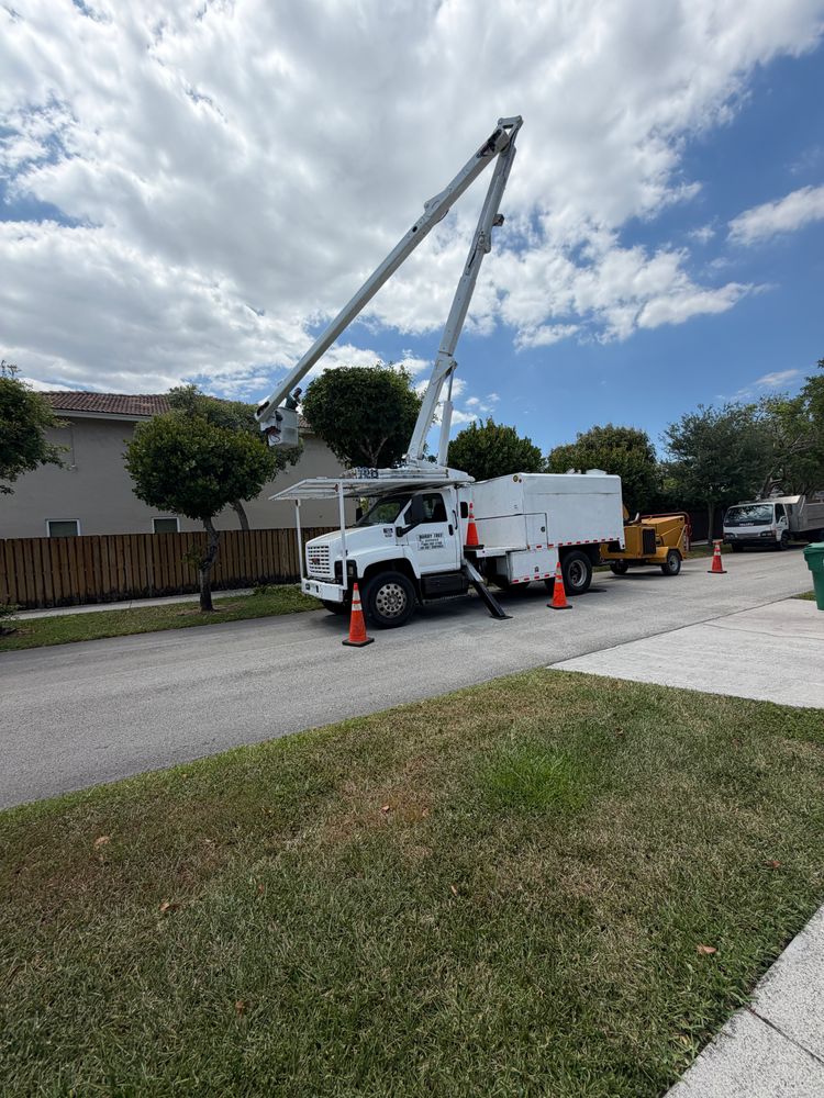 All Photos for Nurry Tree Services in Miami, FL
