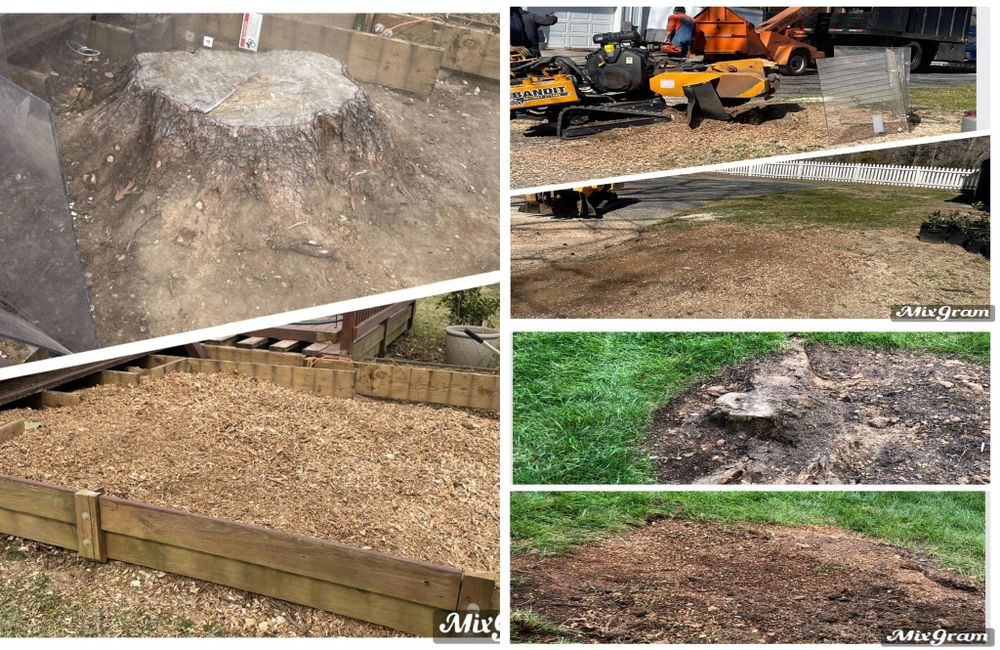 All Photos for Mad Dust Stump Grinding in Howard County, MD