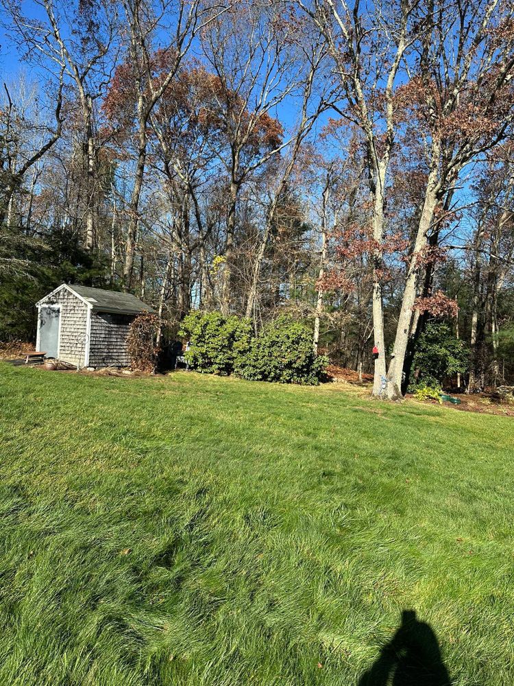 All Photos for Silver City Tree and Landscape in Taunton, MA