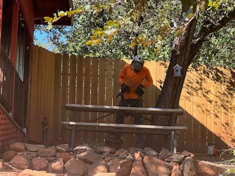 Property Clean Up for The Tree Fairy in Temecula, CA
