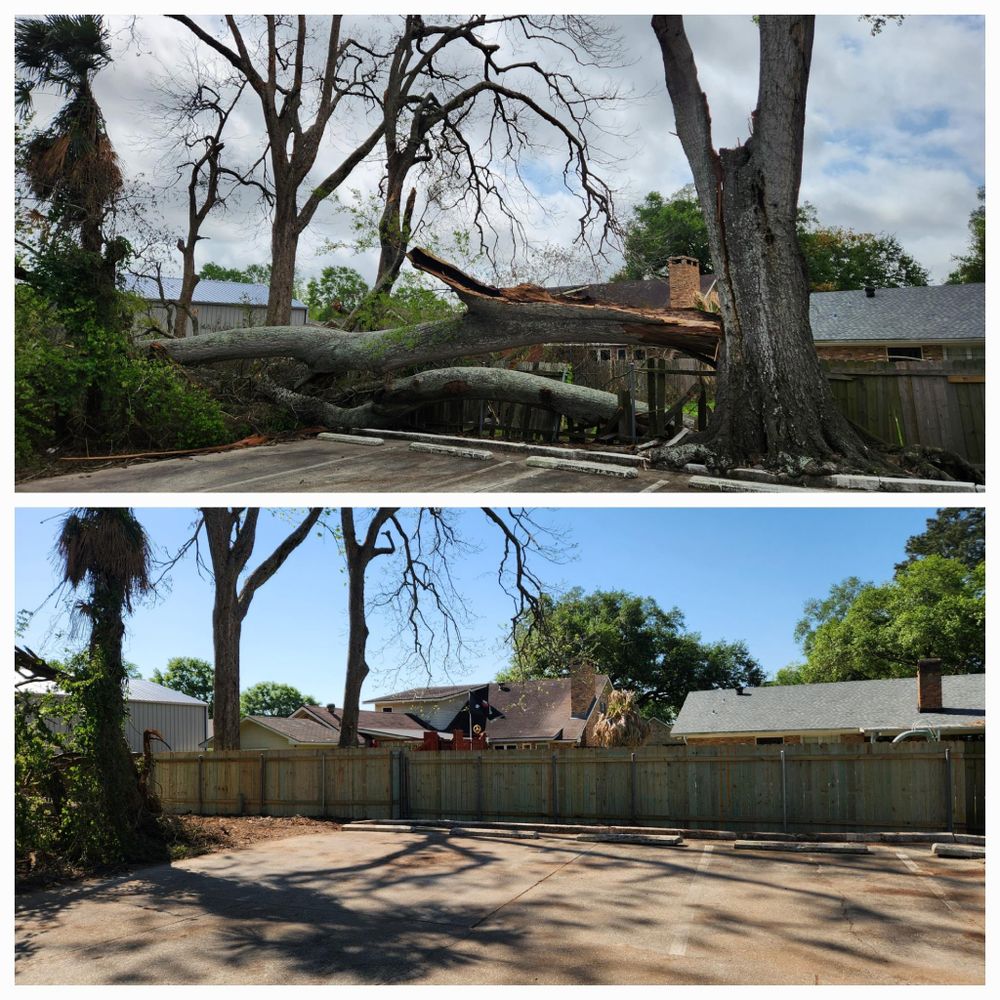 All Photos for Ken's Elite Cutters LLC  in Breaux Bridge, LA