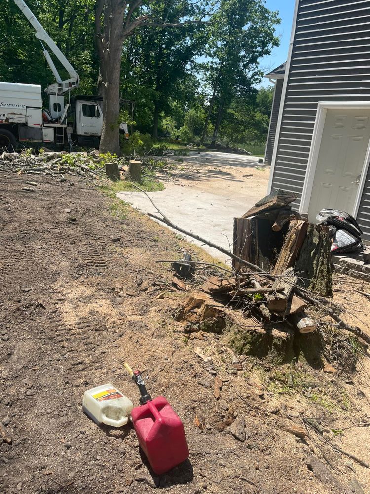 All Photos for The Bucking Arborists in Flint, MI
