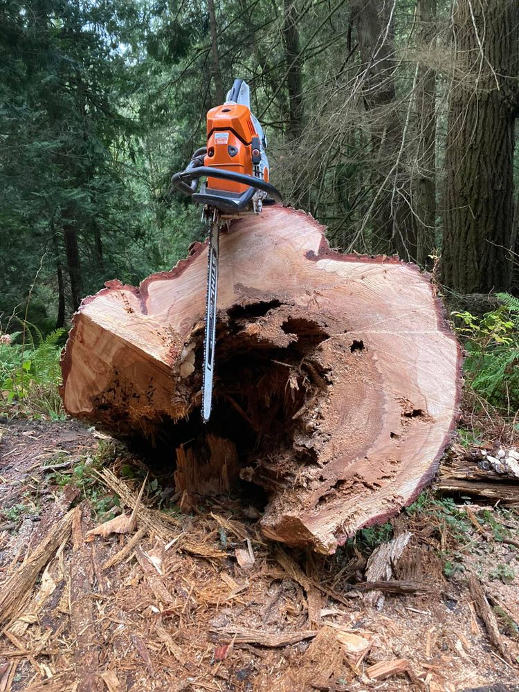 Tree Trimming and Removal for Summit Tree Care LLC in Fort Wayne, IN