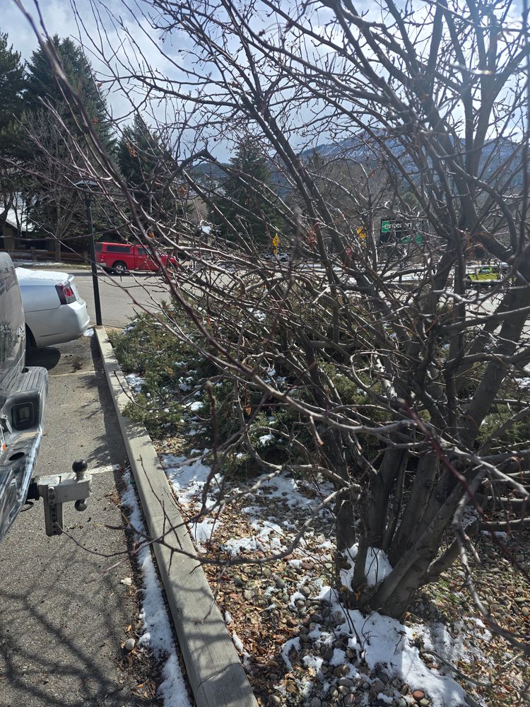 All Photos for LRS: Landscape, Rescue, Snow in Silt, CO