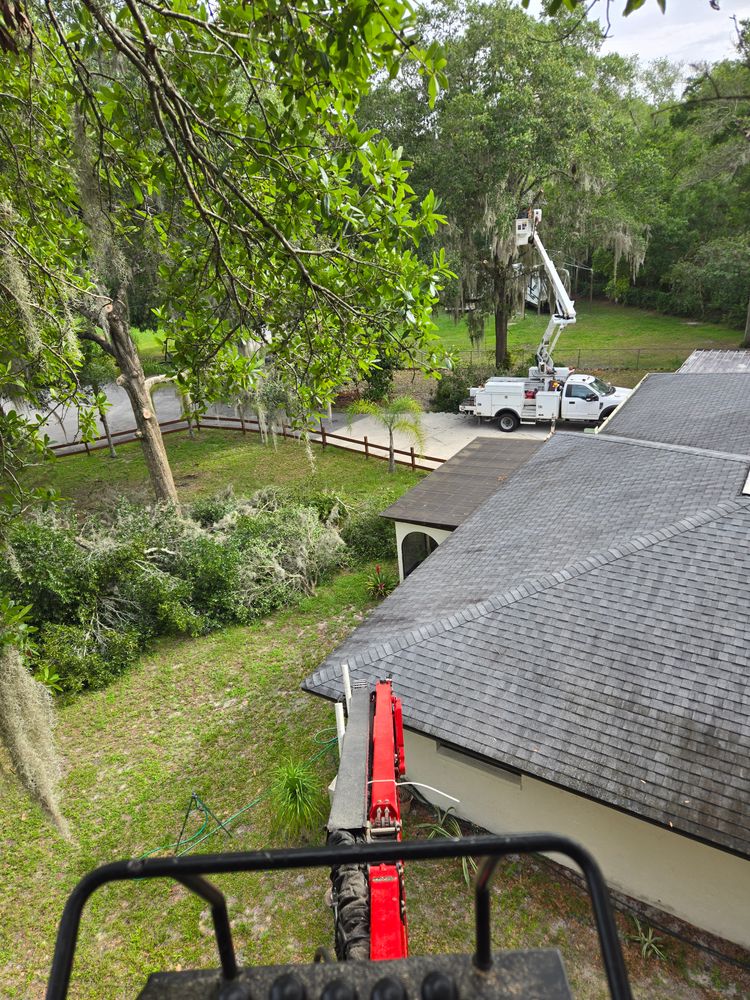 All Photos for Near Me Tree Service, Inc. in DeLand, FL