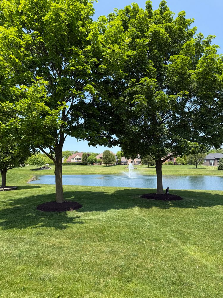 All Photos for Denali Outdoor Services in Washington, MI