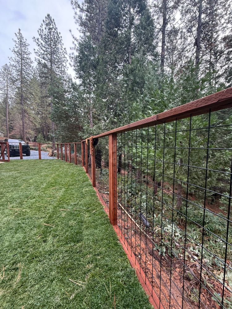 All Photos for Diamond Landscape & Hardscape in Diamond Springs, CA