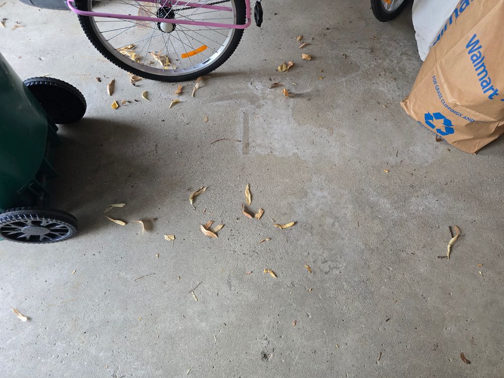 All Photos for Newton's Junk Removal Services in Saline, MI