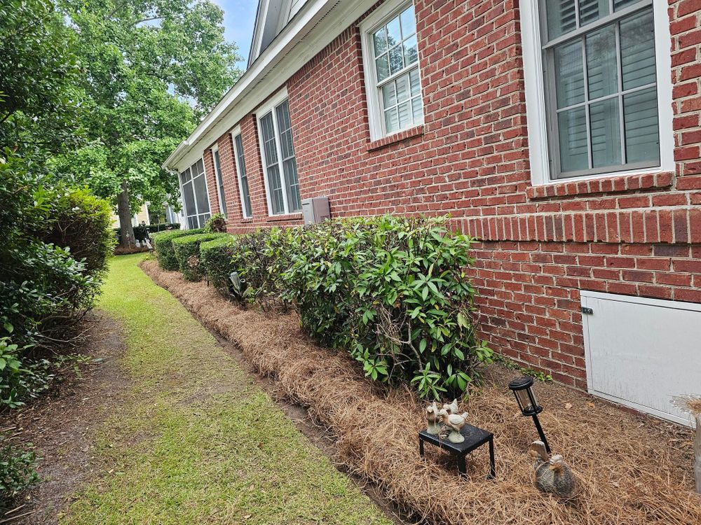 All Photos for 1 Man Does It Lawn Service in Blythewood, SC