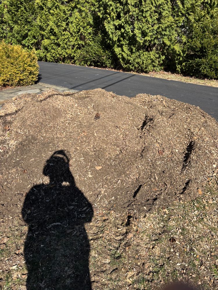 All Photos for Dean's Stump Removal in Youngstown, OH