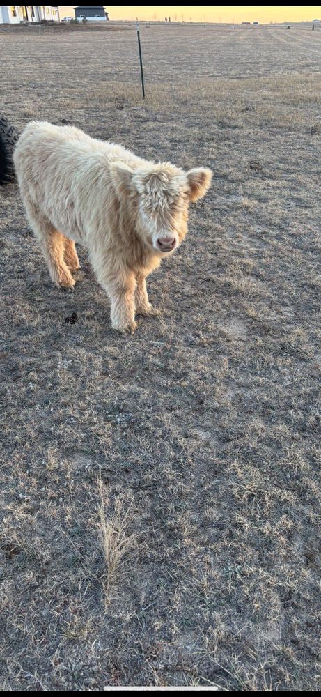 All Photos for High Plains Home and Ranch Services in Peyton, CO